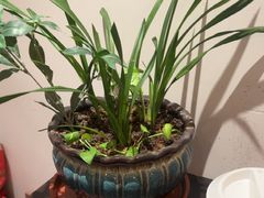 -沐善人家中医·推拿·理疗·三伏灸(新洲店)