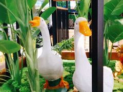 -丽清大别山鹅火锅(滨湖店)