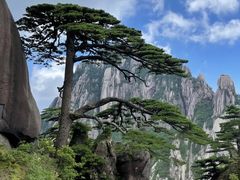 -黄山风景区