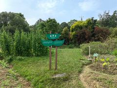 -广西壮族自治区药用植物园