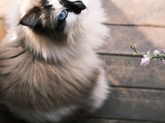 -三仟津花园咖啡馆