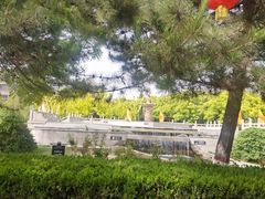 -大槐树寻根祭祖园