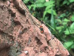 -藏龙百瀑风景区