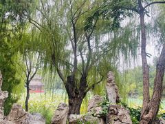 -莲池书院博物馆