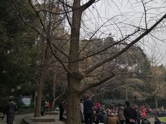 -成都市活水公园