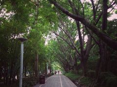 iphone_upload_pic-东部华侨城