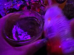 -星聚会KTV(南翔印象城MEGA店)