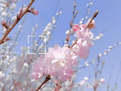 -陕西省西安植物园