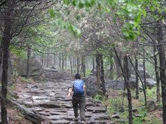 -阳台山自然风景区