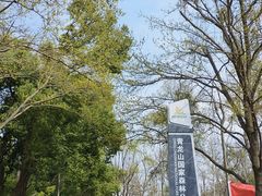 -青龙山国家森林公园