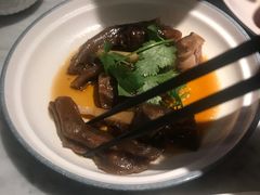 -MR鹅外