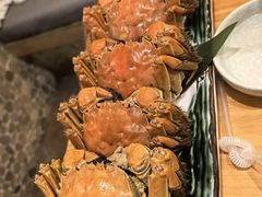 -菊上料理(蜀山银泰百货店)