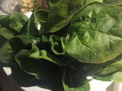 -九鼎轩脆毛肚火锅(南京东路店)
