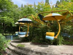 -水杉园