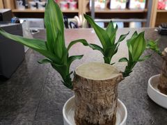 -鹿岛会员店 (龙湖三千集天街店)