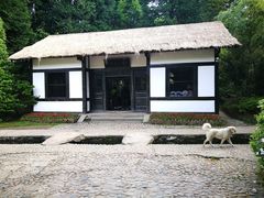 -庐山风景区花径公园