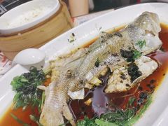 -虾饺妹·粤式手工点心(水荫路店)