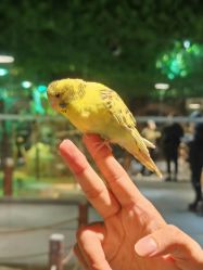 -酷嗒动物文化乐园(cutezoo西溪乐天城店)