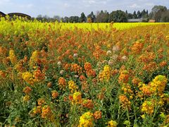 -中国天府农业博览园