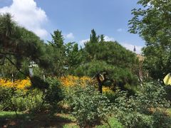 -龙口南山旅游景区