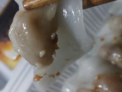 肉粿-汕尾菜粿(向西老店)