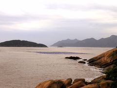 -北岐滩涂