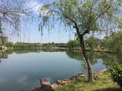 -杏花村文化旅游区