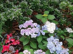 -常州古运河南大街文化旅游区-人民公园