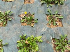 -广东中医药博物馆