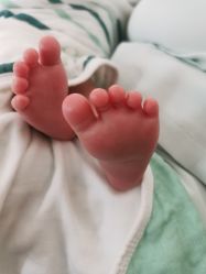 -baby bella小贝拉母婴护理中心(珠海华发公寓店)