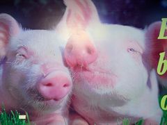 -chi K11艺术空间展览厅