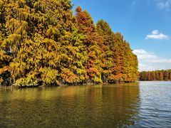 -上海海湾国家森林公园