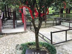 -太湖源风景区