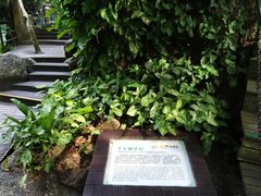 -呀诺达热带雨林