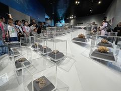 -北京周口店北京人遗址博物馆