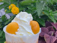 -CoCo都可(湖滨银泰店B区店)