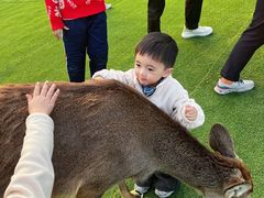 -盈香心动乐园