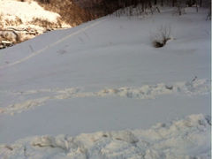 iphone_upload_pic-雪谷