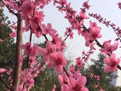 -重庆彩云湖湿地公园