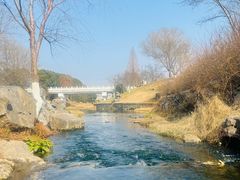 -羊山湖公园