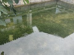 -雅达·阳羡溪山小镇中心