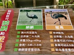 -合肥野生动物园