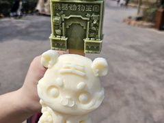 -郑州银基国际旅游度假区