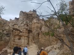 -元谋土林景区(物茂土林)
