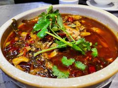 -红辣椒·川菜·火锅(大洋中心店)