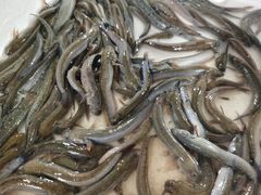 -西门岛码头海鲜馆