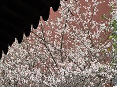 -钱王祠