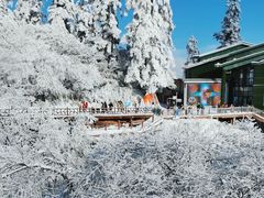 -瓦屋山景区