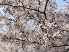 -龙美术馆(西岸馆)