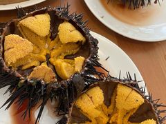 -海胆小馆(东北水饺·春柳店)